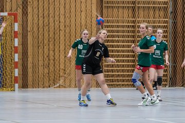 Bild 184 - Damen HSG Kremperheide/M�nsterdorf - Suchsdorfer SV : Ergebnis: 39:22